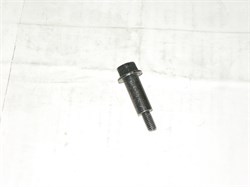 Болт крепления успокоителя цепи K.SORENTO с 02-06г. дв.D4CB ориг. (24381-4A001) распредвала М6 - фото 32241
