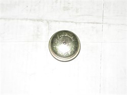 Колпачок защитный передней и задней ступицы D.NEXIA,ESPERO,PRINCE (96183955) металлический - фото 38418